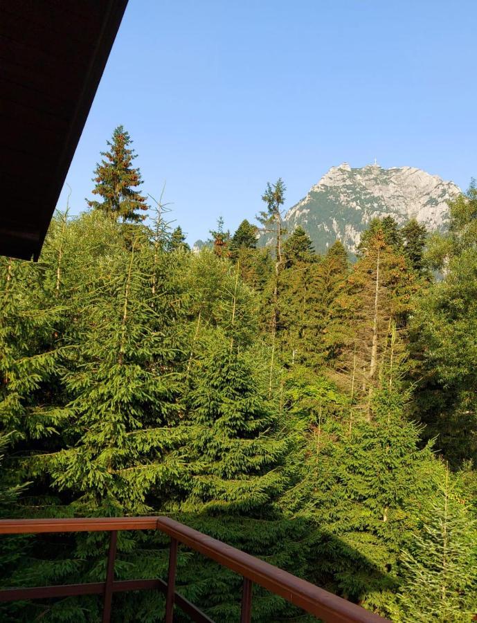 C House Villa Buşteni Екстериор снимка